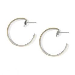 Ferrara Entrata Small Hoop Earrings -Jewelry Charm Deals Store ferrara entrata small hoop earrings gold silver 1