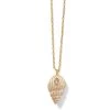 Paradise Cove Spiral Shell Necklace 1 Paradise Cove Spiral Shell Necklace -Jewelry Charm Deals Store paradise cove spiral shell necklace gold 0 3931c60d 2705 412d 85ec 003e8cb4a96c