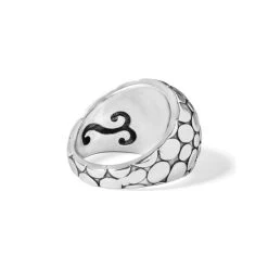 Pebble Ring -Jewelry Charm Deals Store pebble ring silver 2